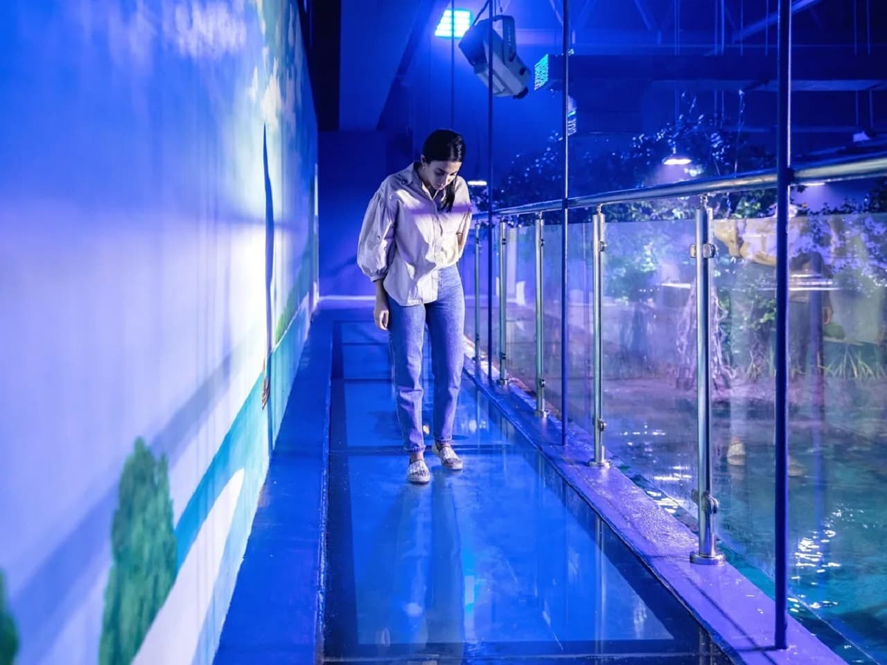 The National Aquarium Abu Dhabi Ticket