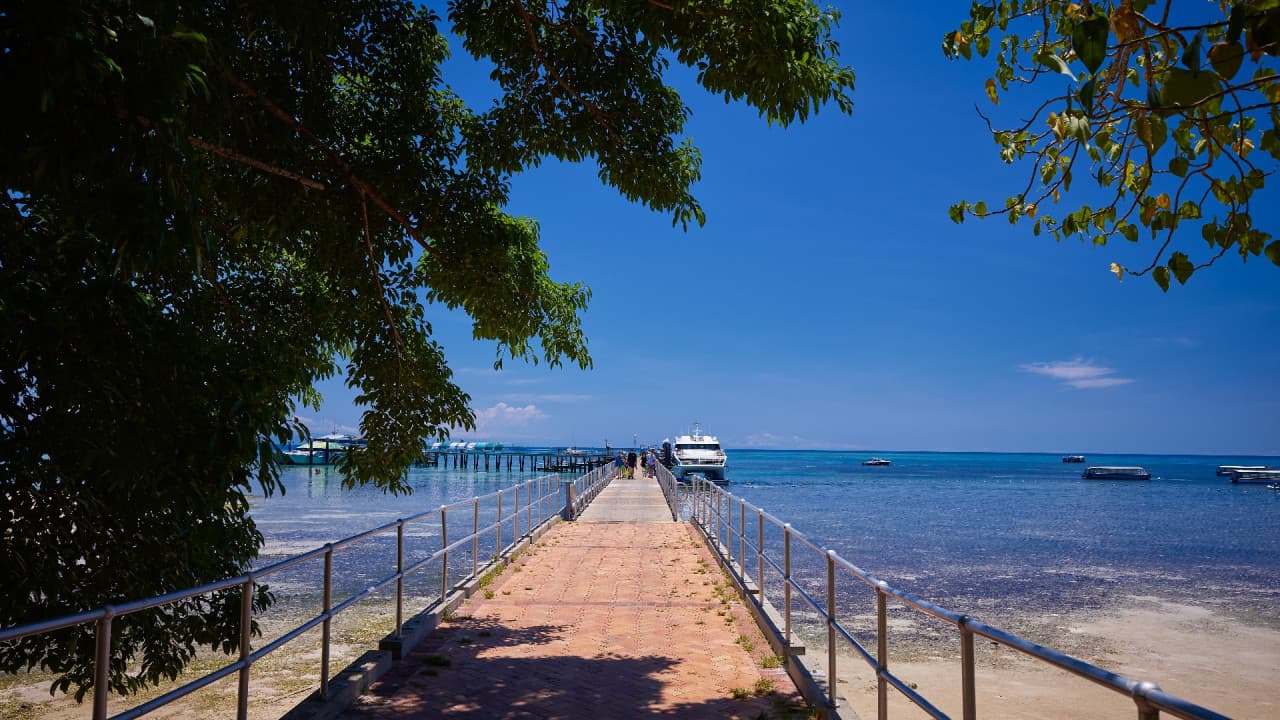 Green Island Great Barrier Reef Half Day Tour from Cairns – photo 10