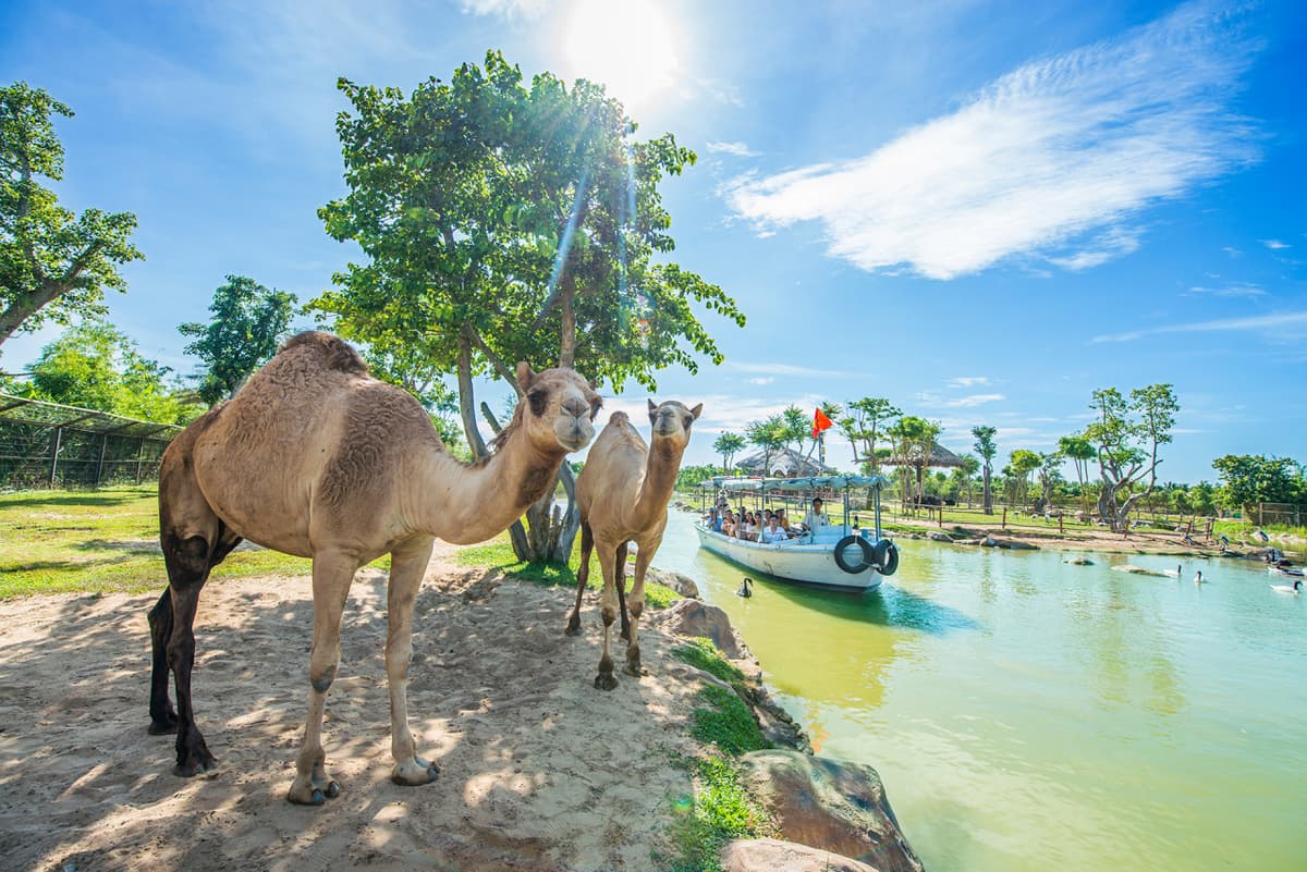 VinWonders Nam Hoi An Amusement Park Ticket