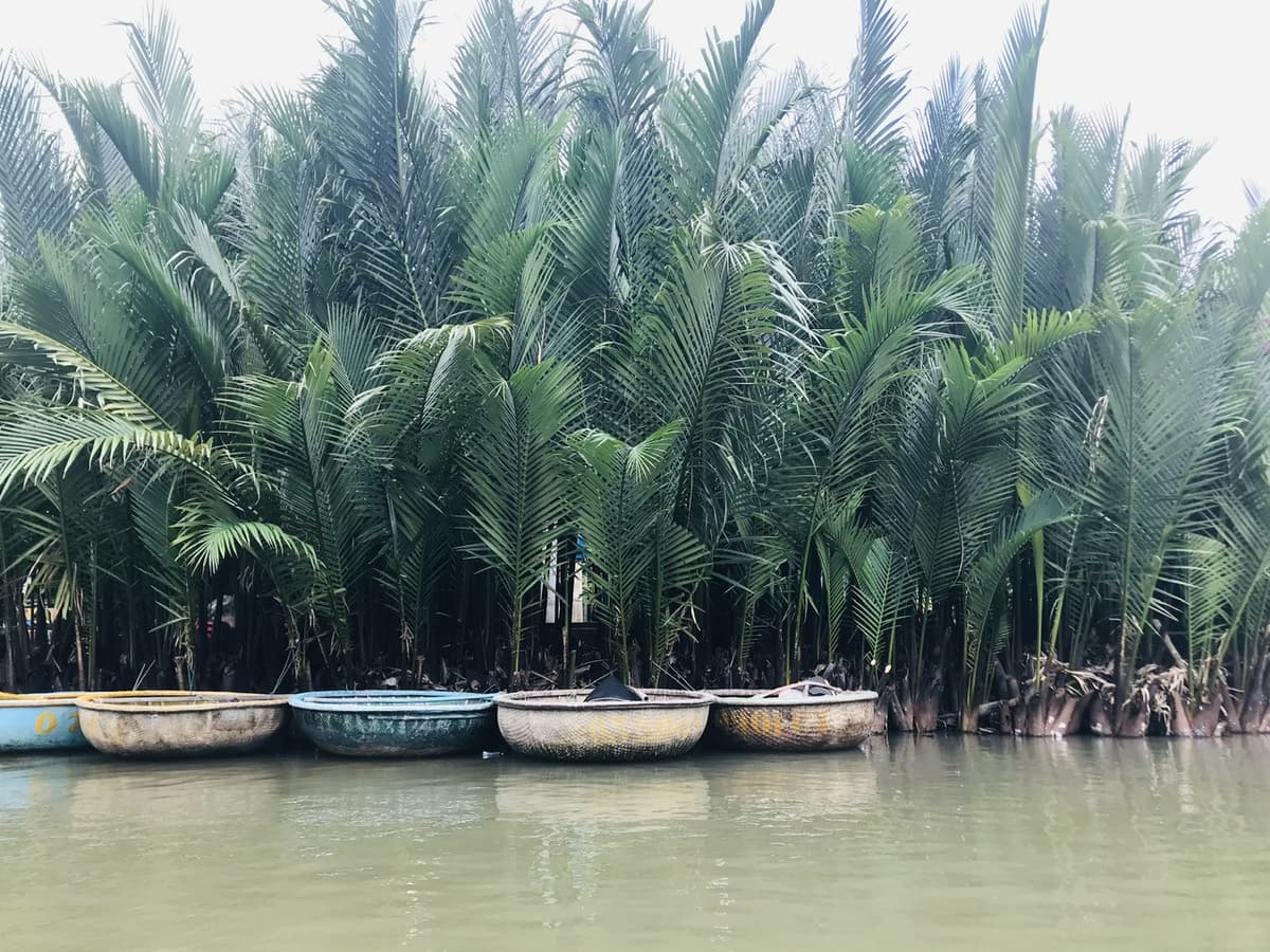 Hoi An Coconut Forest Basket Boat Ride