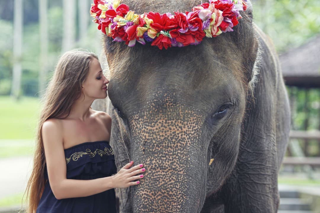 Mason Elephant Park Bali by Mason Adventures (Formerly known as Elephant Safari Park)