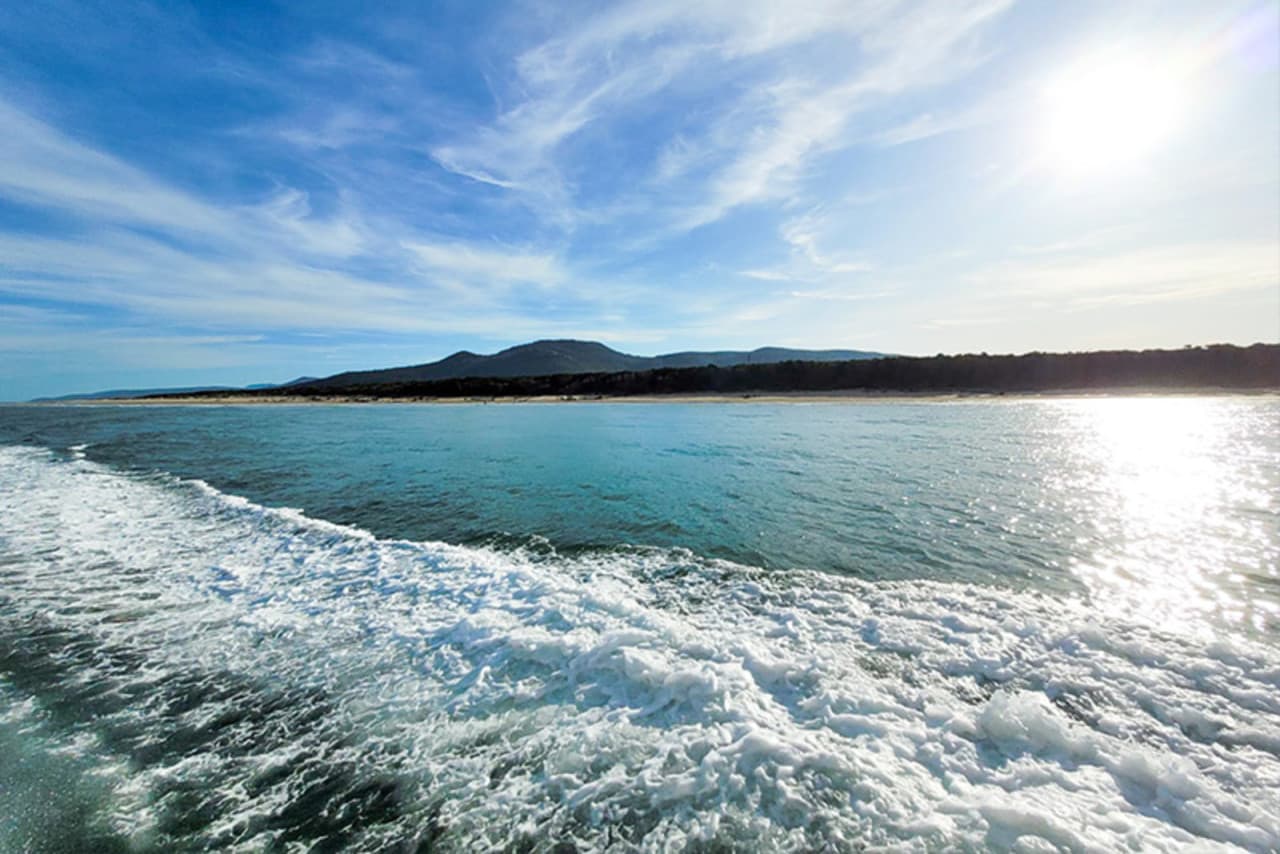Wilsons Promontory Whale Watching Sightseeing Cruise – photo 5