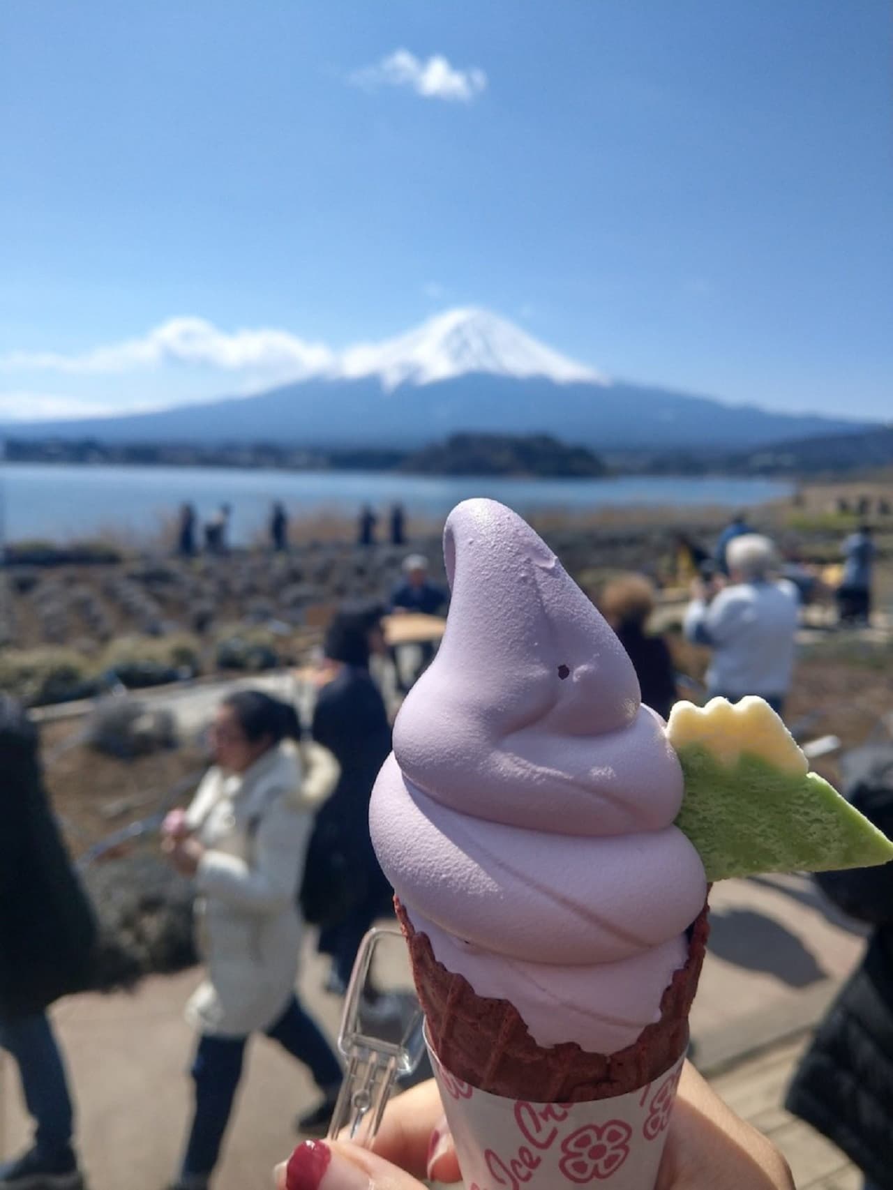 Mount Fuji Day Tour with Kawaguchiko Lake – photo 5