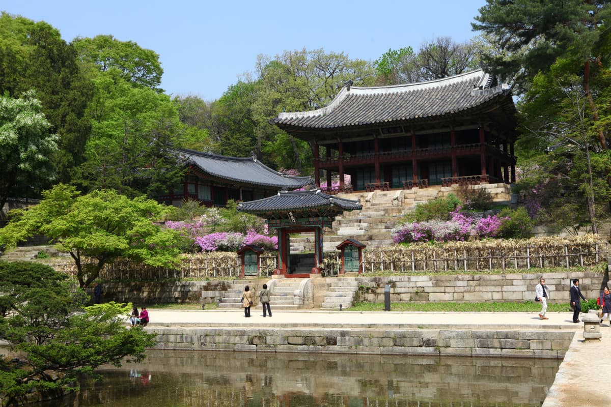 Seoul City Tour with Bulgogi Cooking Lesson
