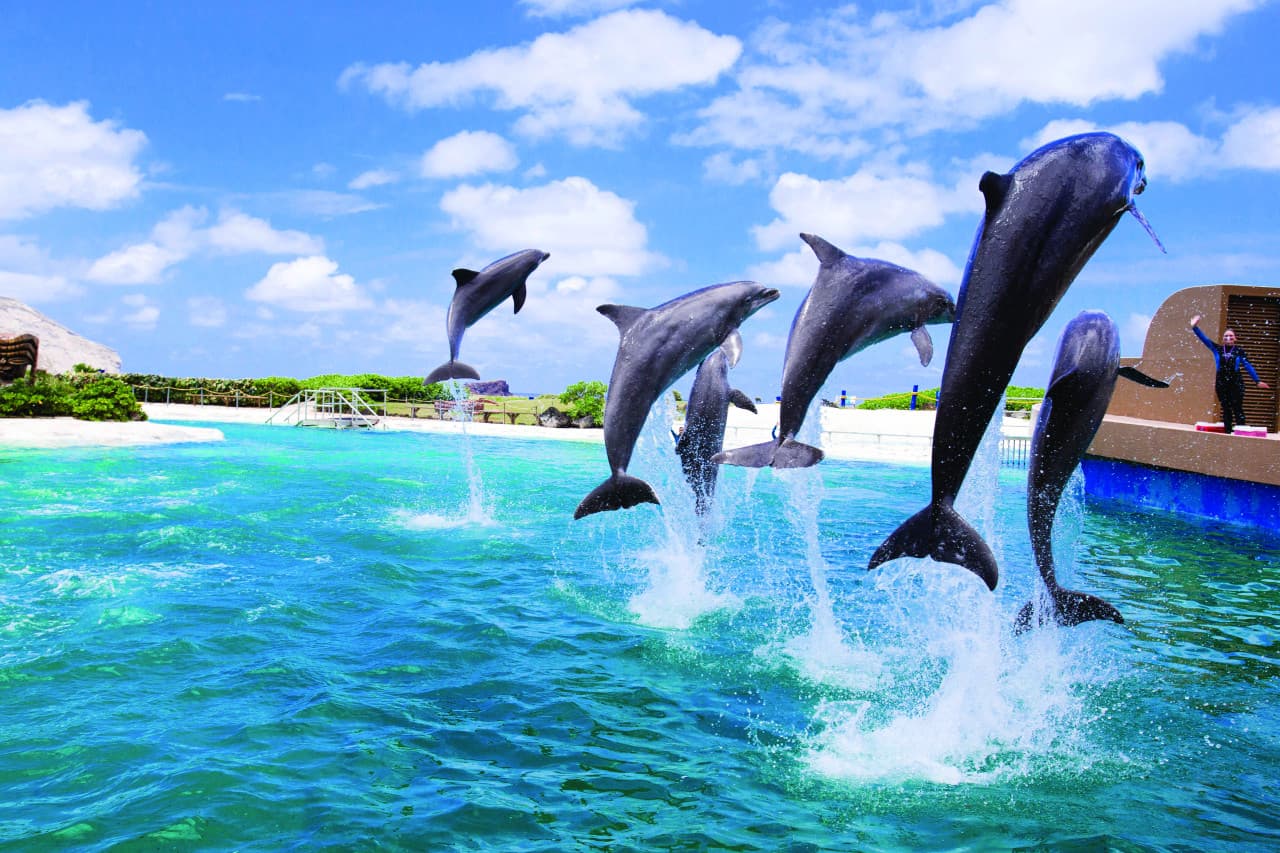 Go City Oahu Explorer Pass: Save up to 50% on Attractions – photo 13