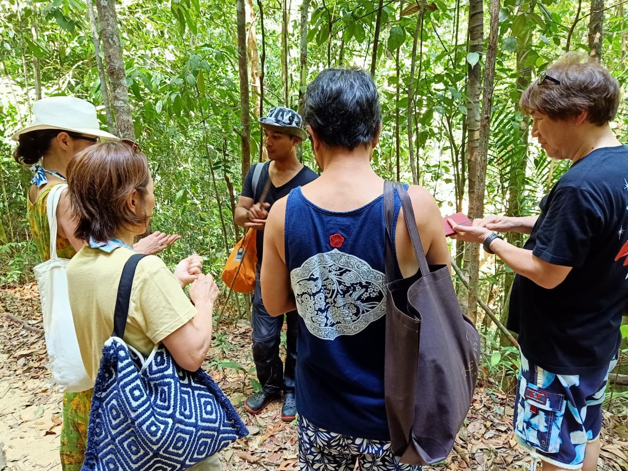 Langkawi Rainforest Trekking