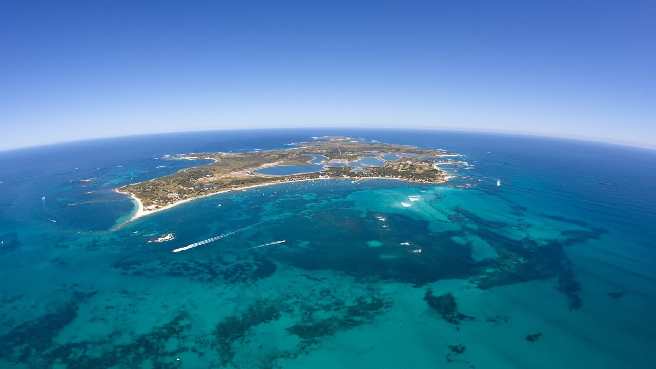 Round Trip SeaLink Ferry to Rottnest Island – photo 6