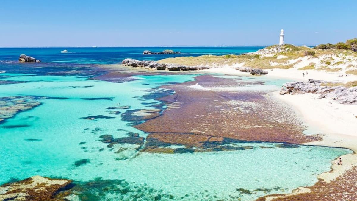 Rottnest Island Fortress Adventure Segway Tour with Round Trip SeaLink Ferry Transfer