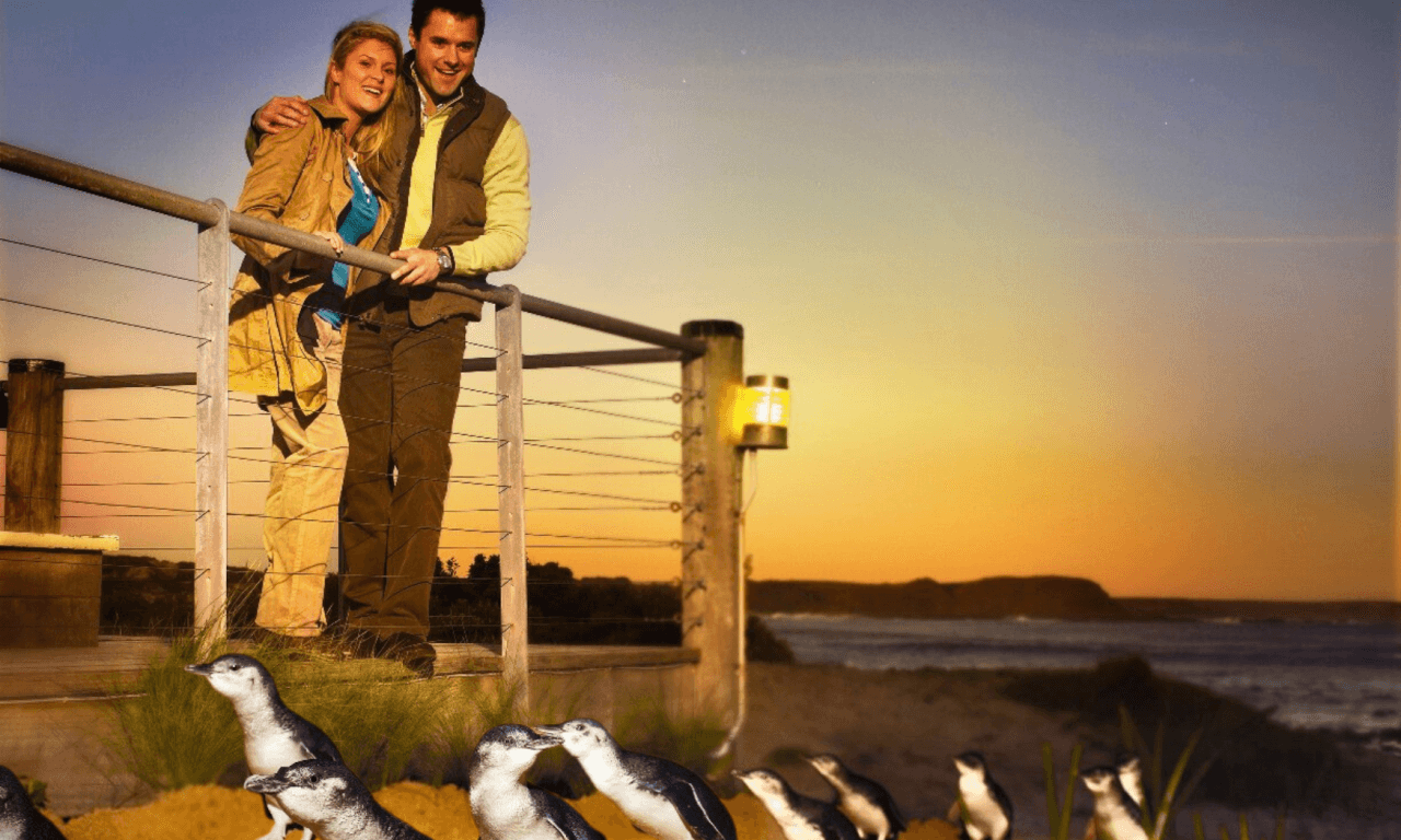 Phillip Island with Penguin Parade Eco Tour – photo 15
