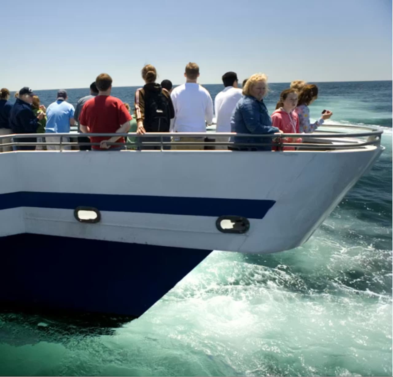Boston Harbor Whale Watch Cruise – photo 3