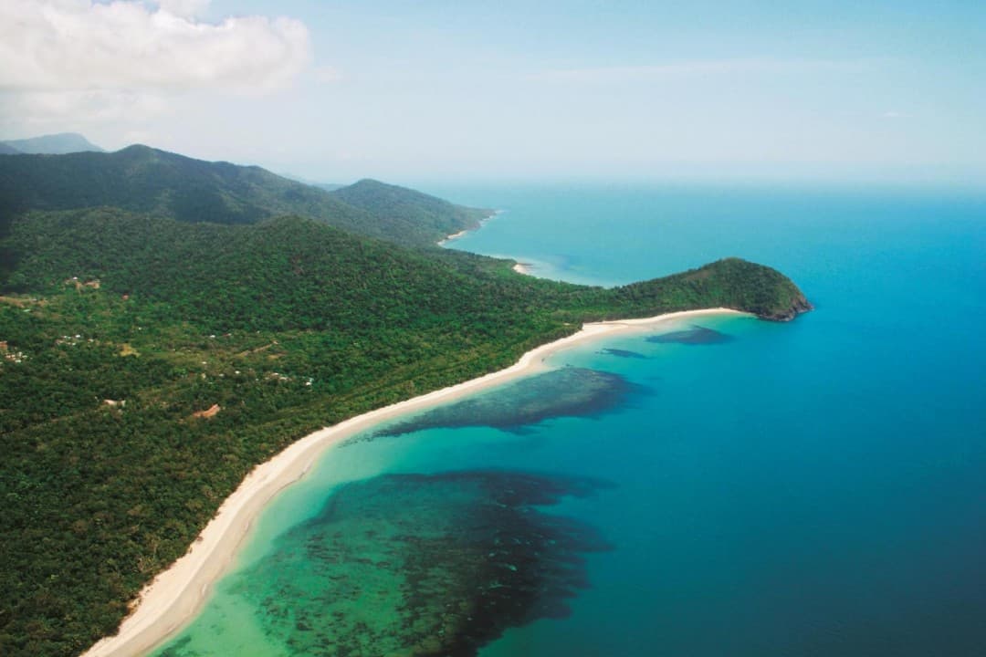 Cape Tribulation and Daintree Wilderness Full-Day Tour – photo 8