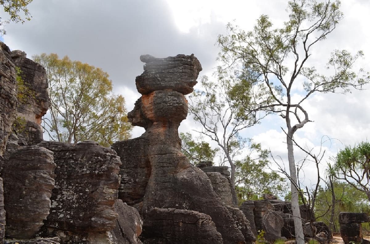 Litchfield National Park and Waterfalls Tour from Darwin