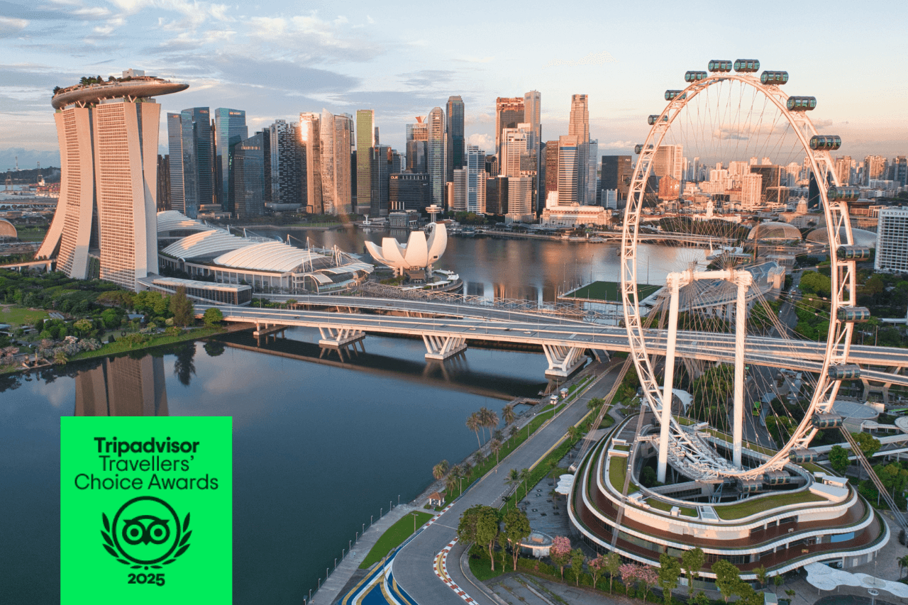COMBO: Singapore Flyer + Gardens by the Bay Ticket – photo 2