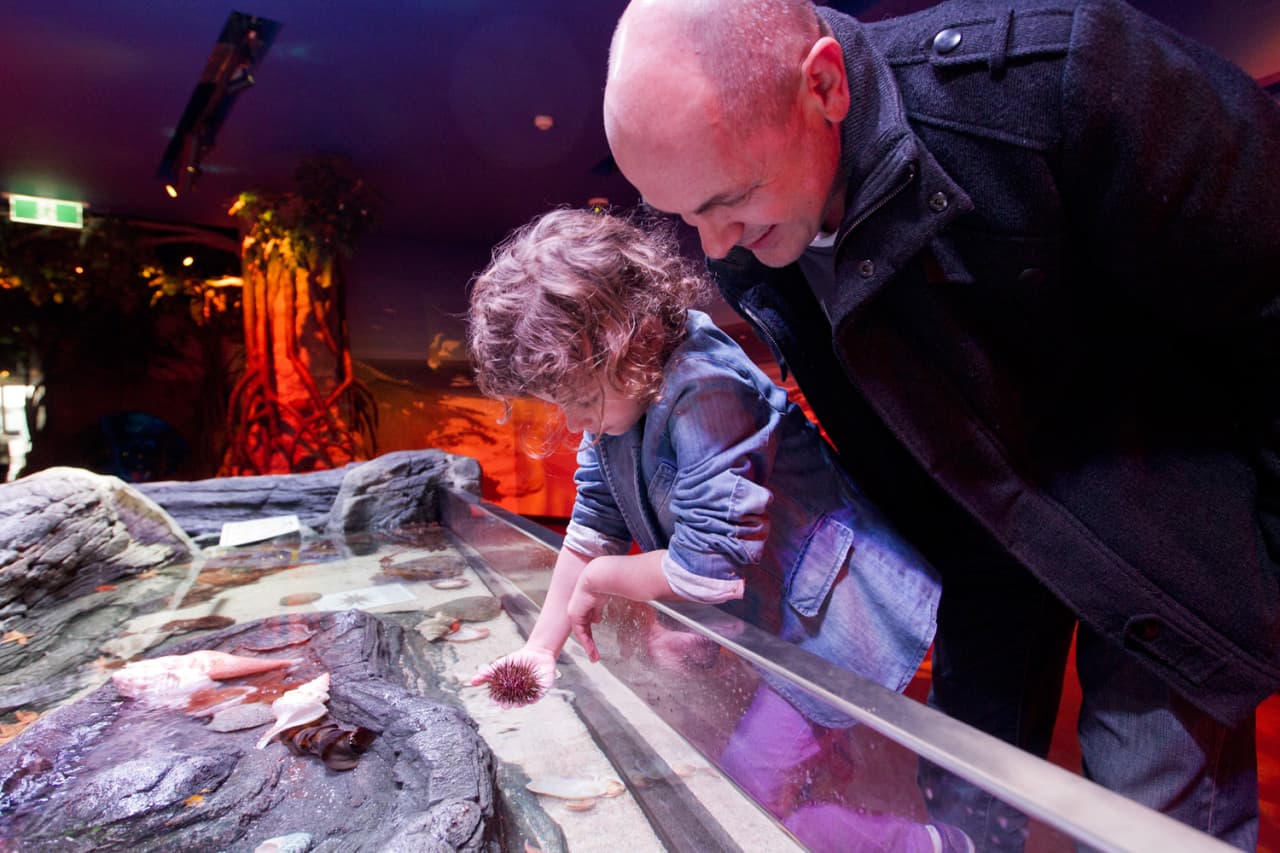 SEA LIFE Melbourne Aquarium Direct Entry Ticket
