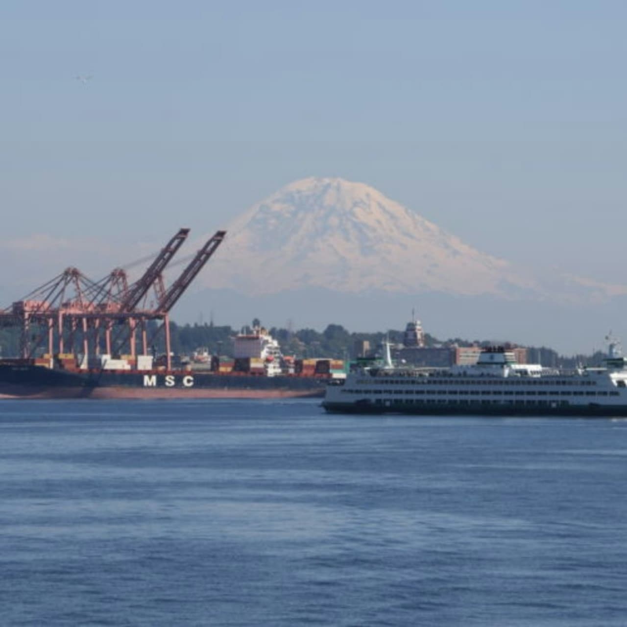 Seattle Harbor Cruise – photo 14