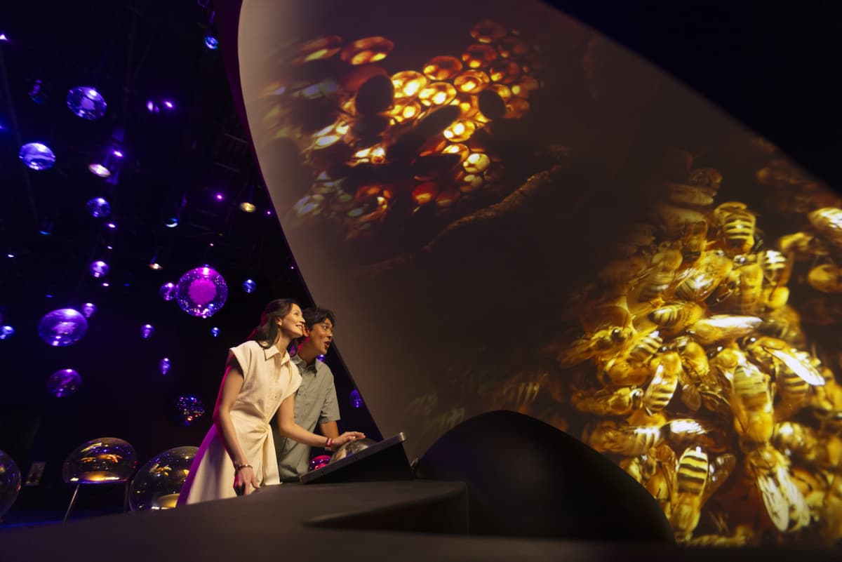 2-Park Destination Pass: Singapore Zoo + Exploria Ticket