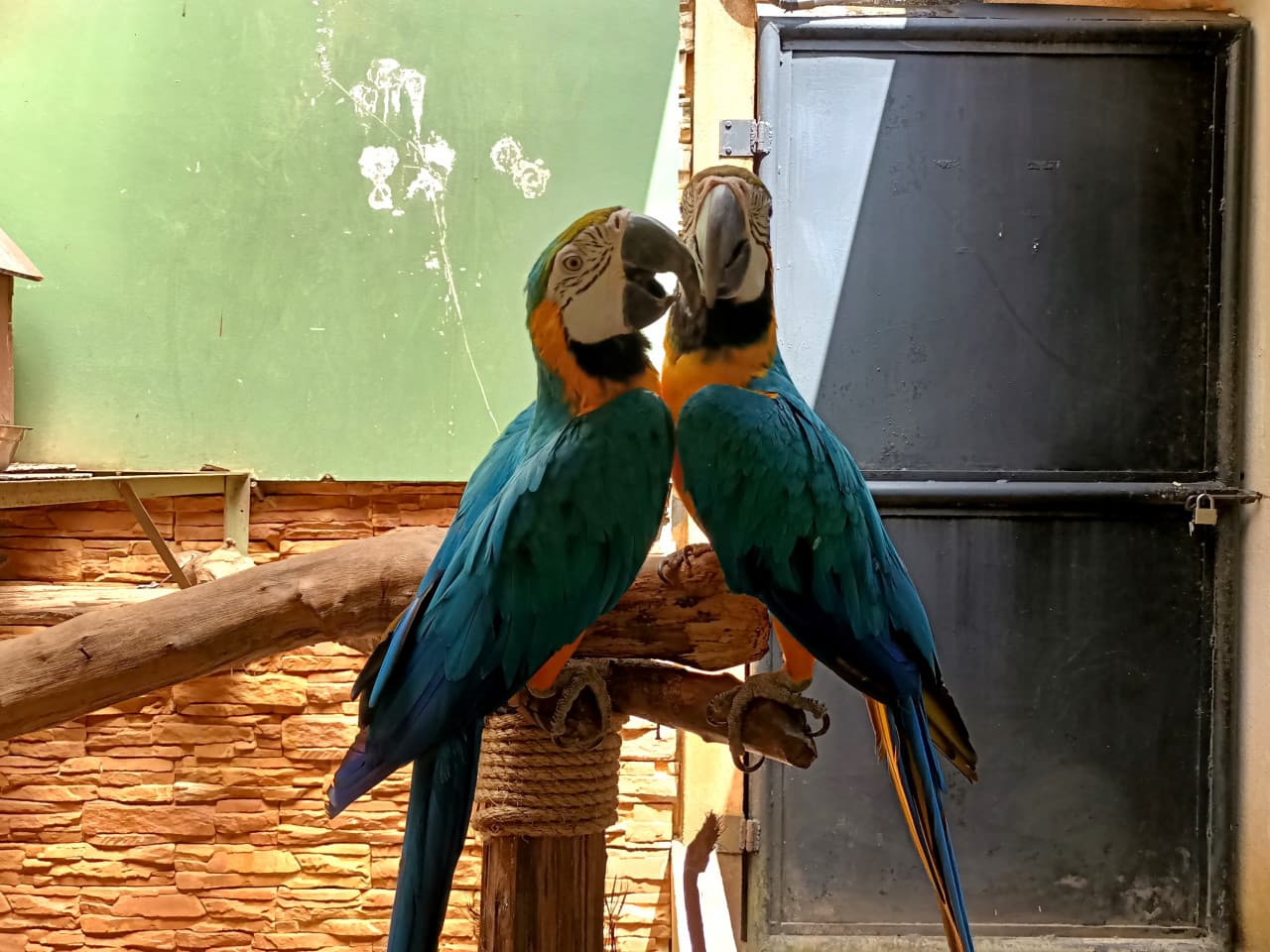 Langkawi Wildlife Park