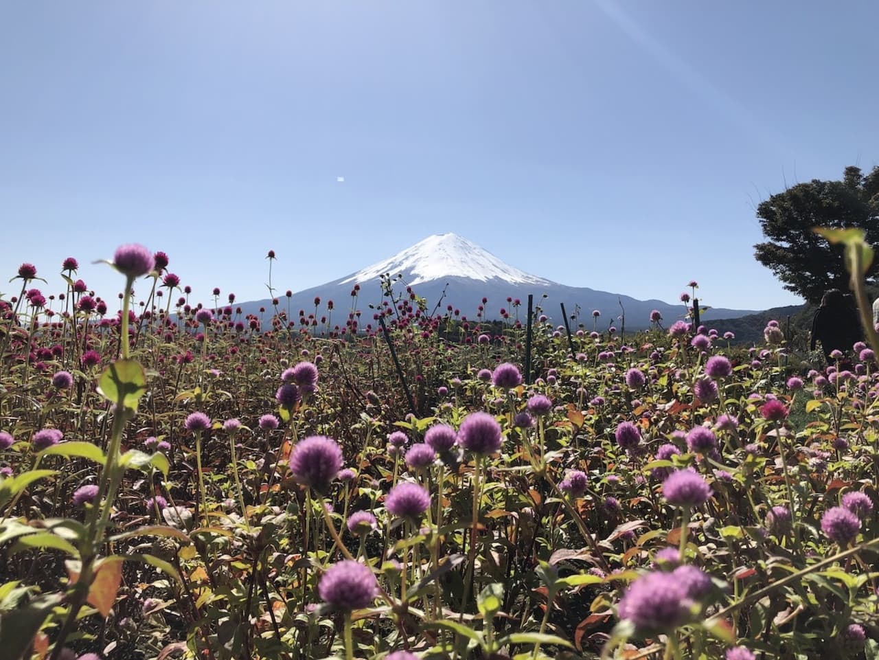 Mount Fuji Day Tour with Kawaguchiko Lake – photo 7