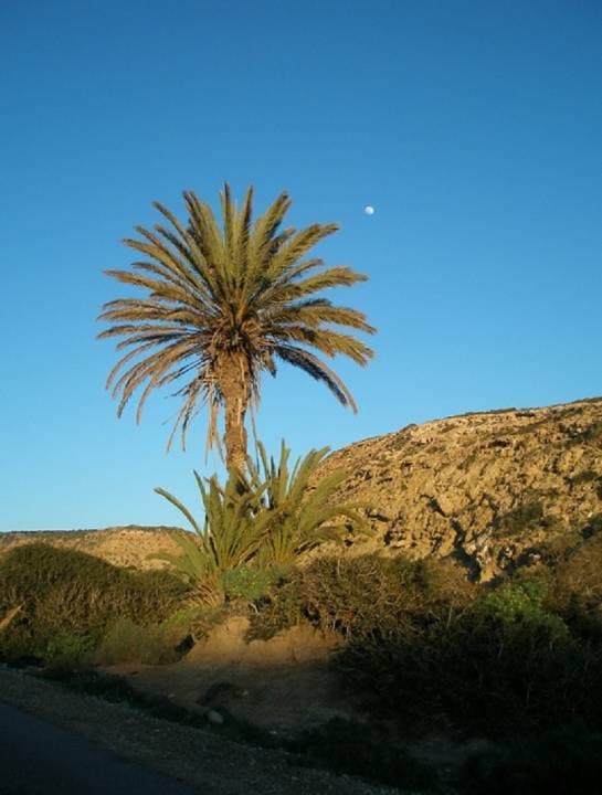 Quad Ride in Marrakech with Round Trip Transfers