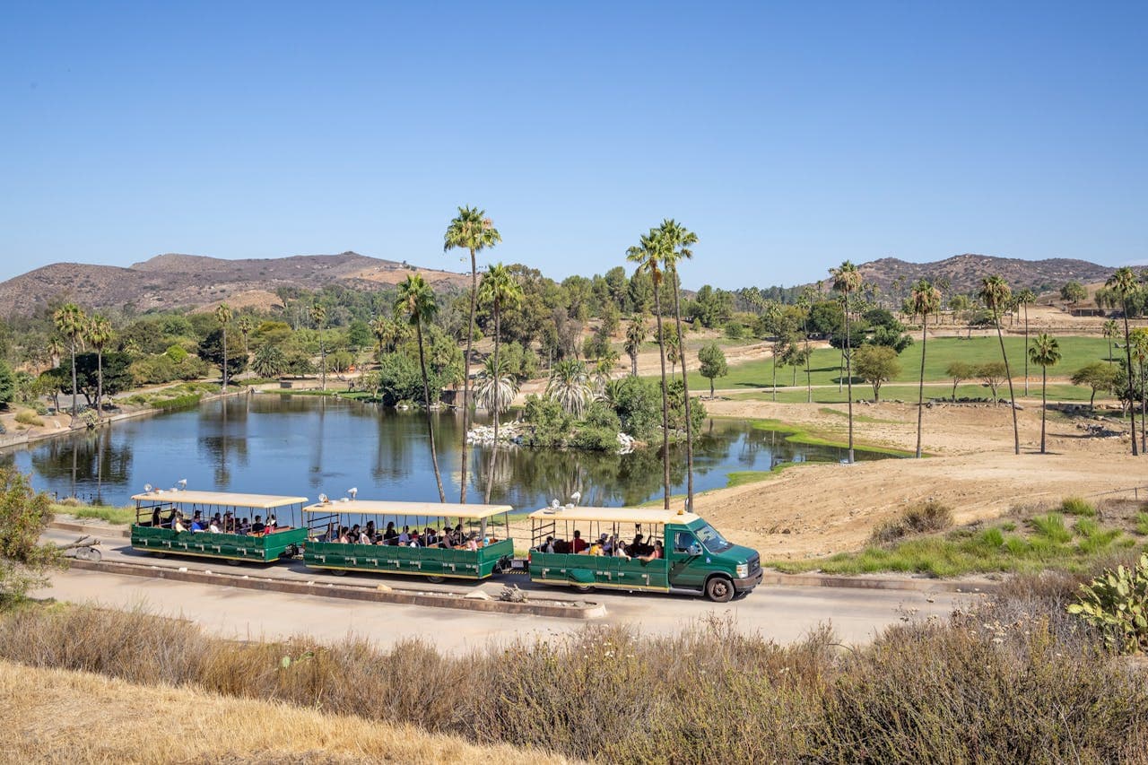 San Diego Zoo Safari Park Ticket – photo 2