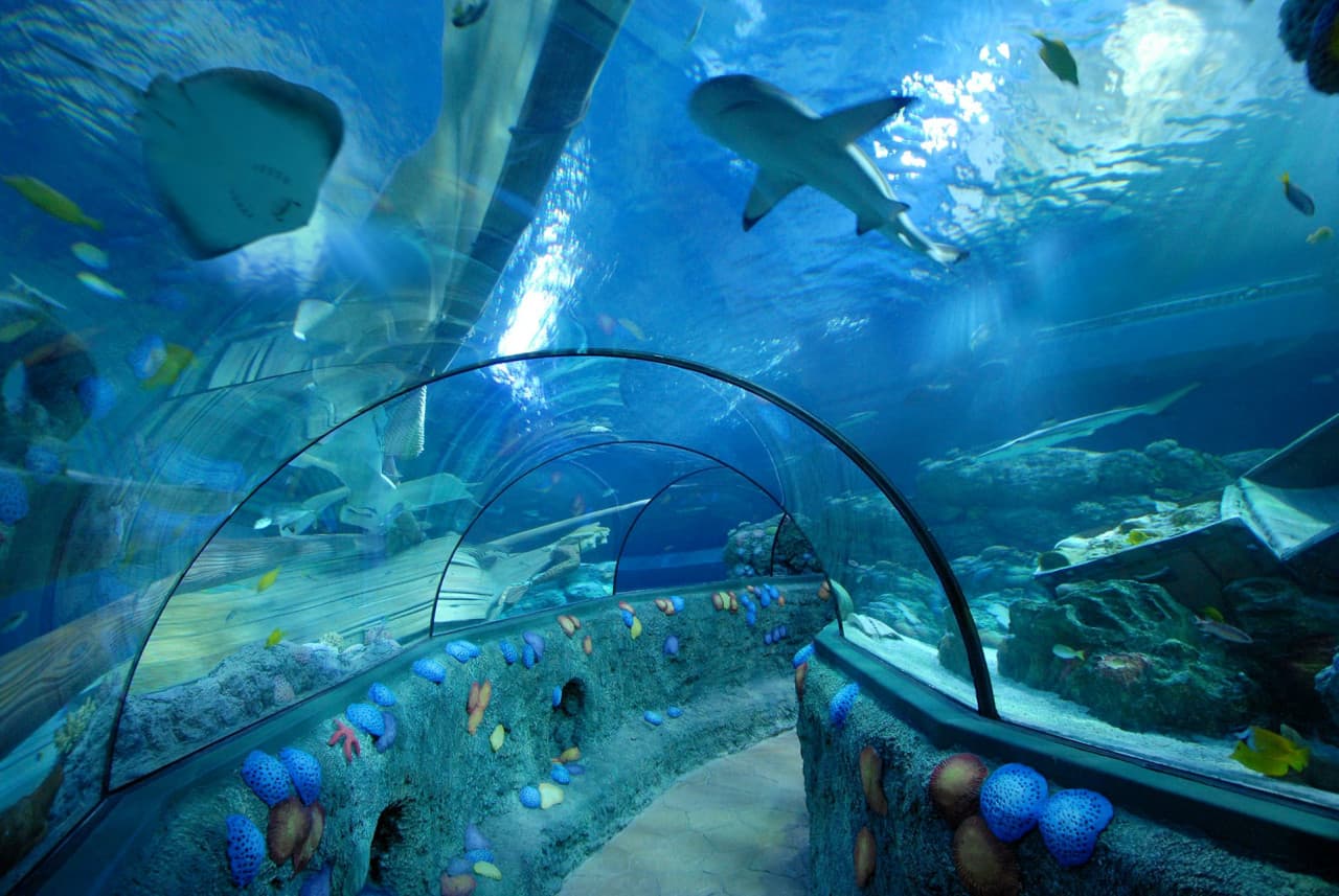 Gardaland SEA LIFE Aquarium Ticket