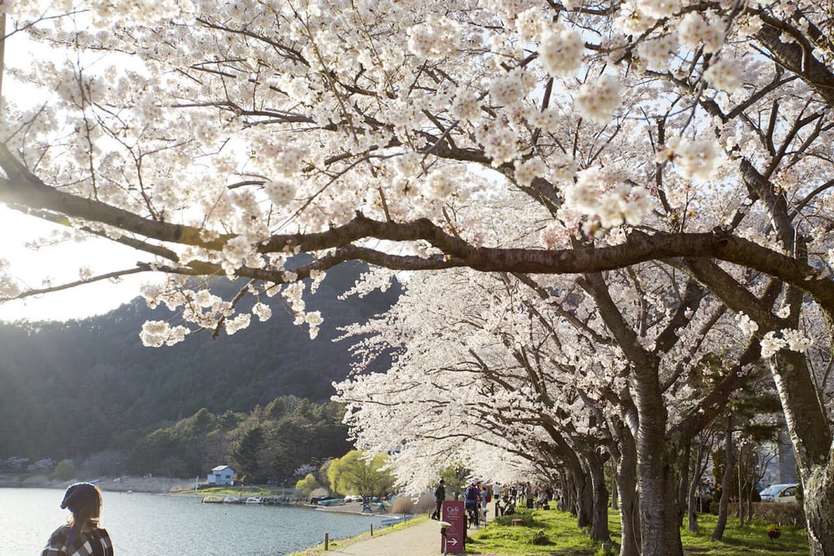 Mount Fuji Day Tour with Kawaguchiko Lake