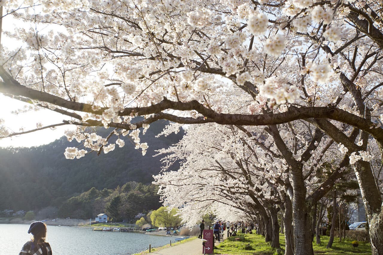 Mount Fuji Day Tour with Kawaguchiko Lake – photo 4