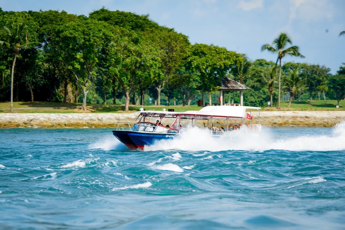 Albatross Hop-On Hop-Off Speedboat Pass