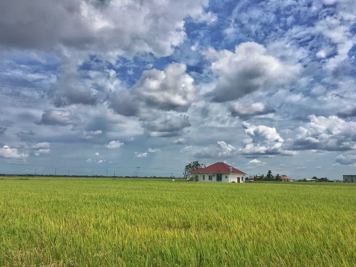 Sky Mirror and Sekinchan Paddy Field Tour from Kuala Lumpur