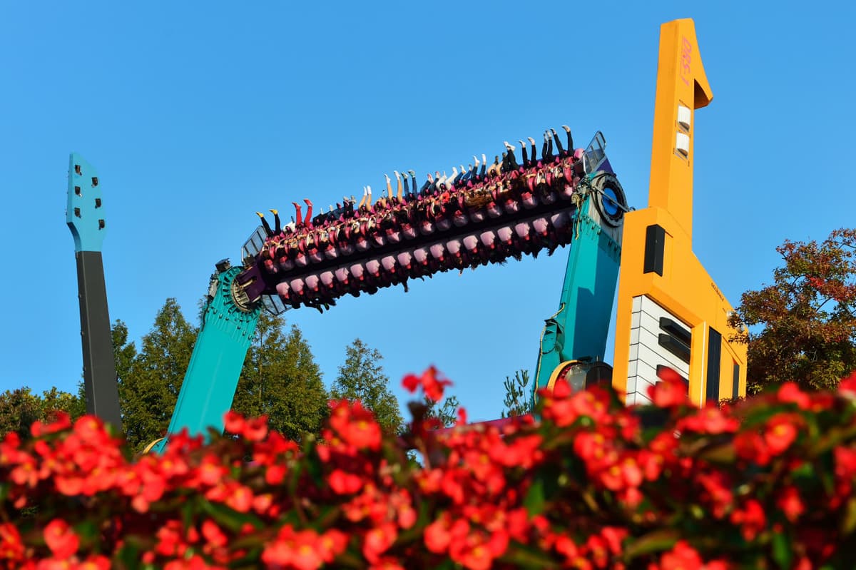 Everland Theme Park Ticket