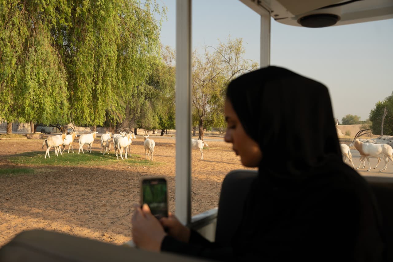 Dubai Safari Park Ticket – photo 27