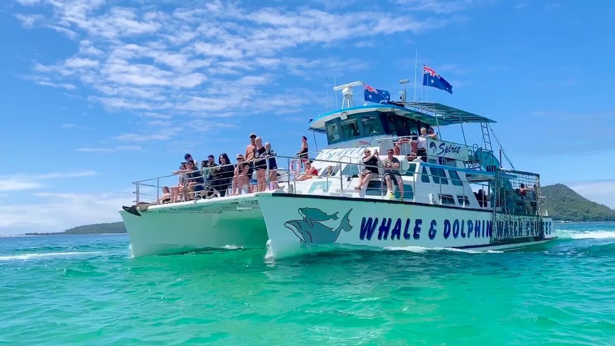 Port Stephens Dolphin Discovery Cruise