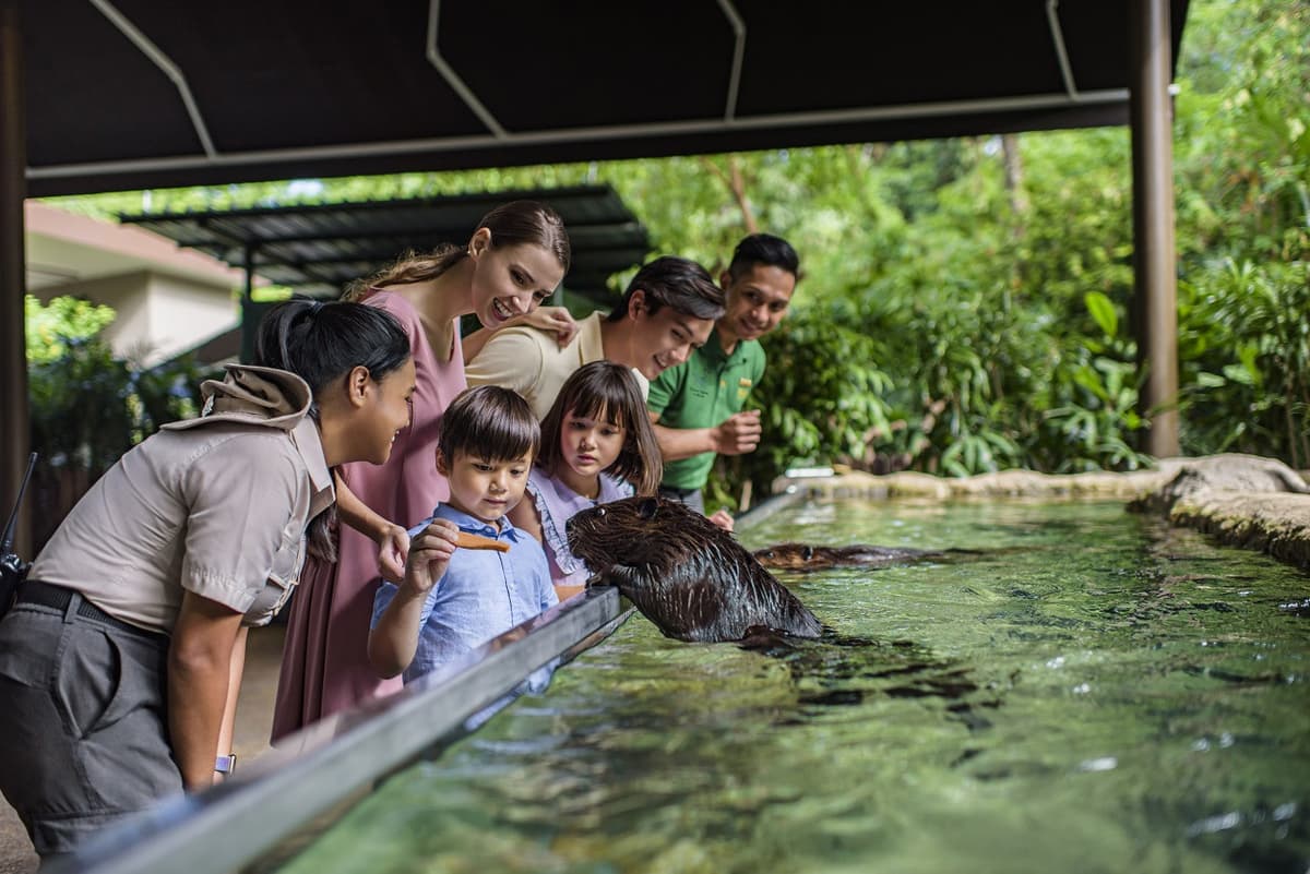 2-Park Destination Pass: Singapore Night Safari + River Wonders Tickets