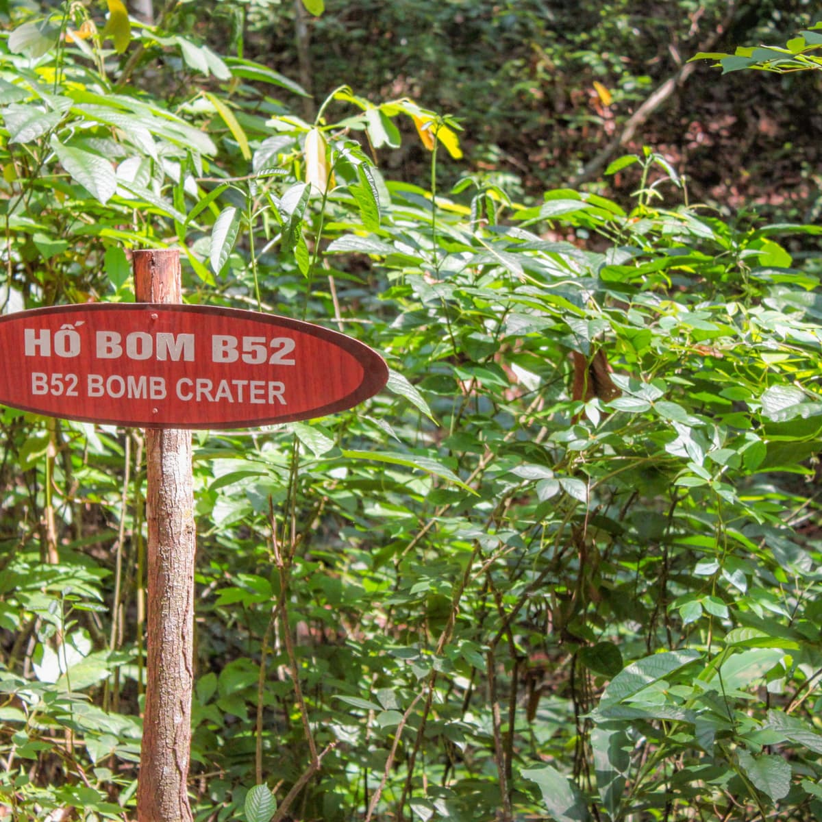 Cu Chi Tunnels and Mekong Delta Full-Day Tour from Ho Chi Minh