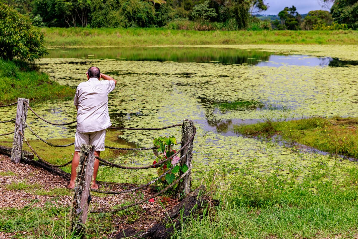 Australian Outback Food and Wine Tasting Tour from Cairns and Northern Beaches