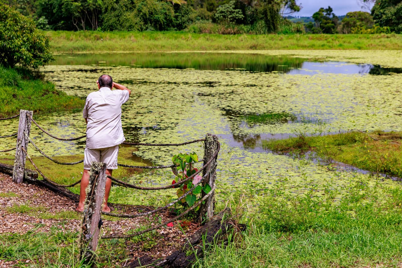 Australian Outback Food and Wine Tasting Tour from Cairns and Northern Beaches