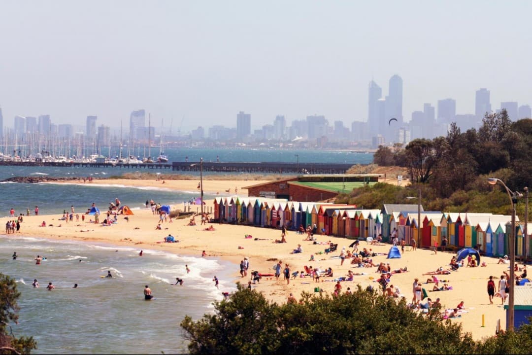 Royal Botanic Gardens and Melbourne City Tour