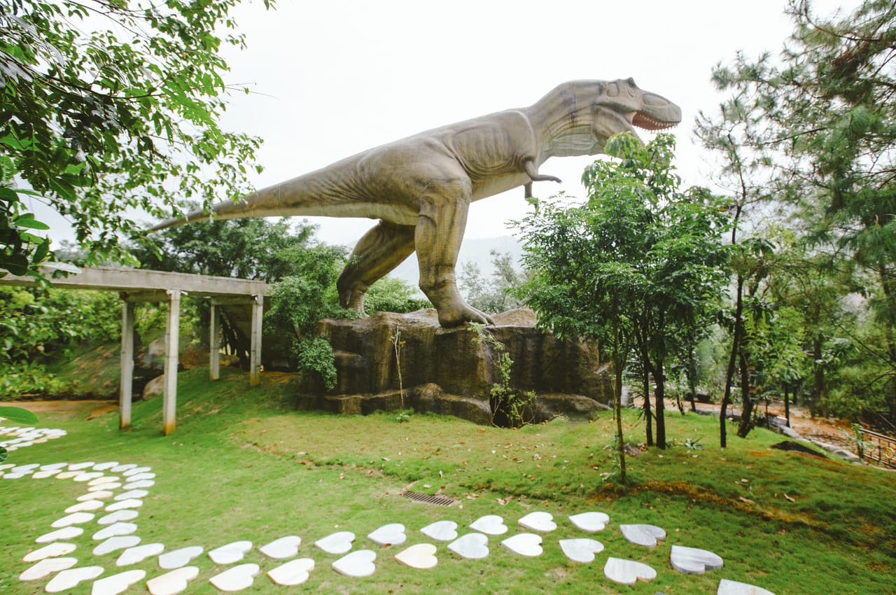 Nui Than Tai Hot Springs Park Tour – photo 13