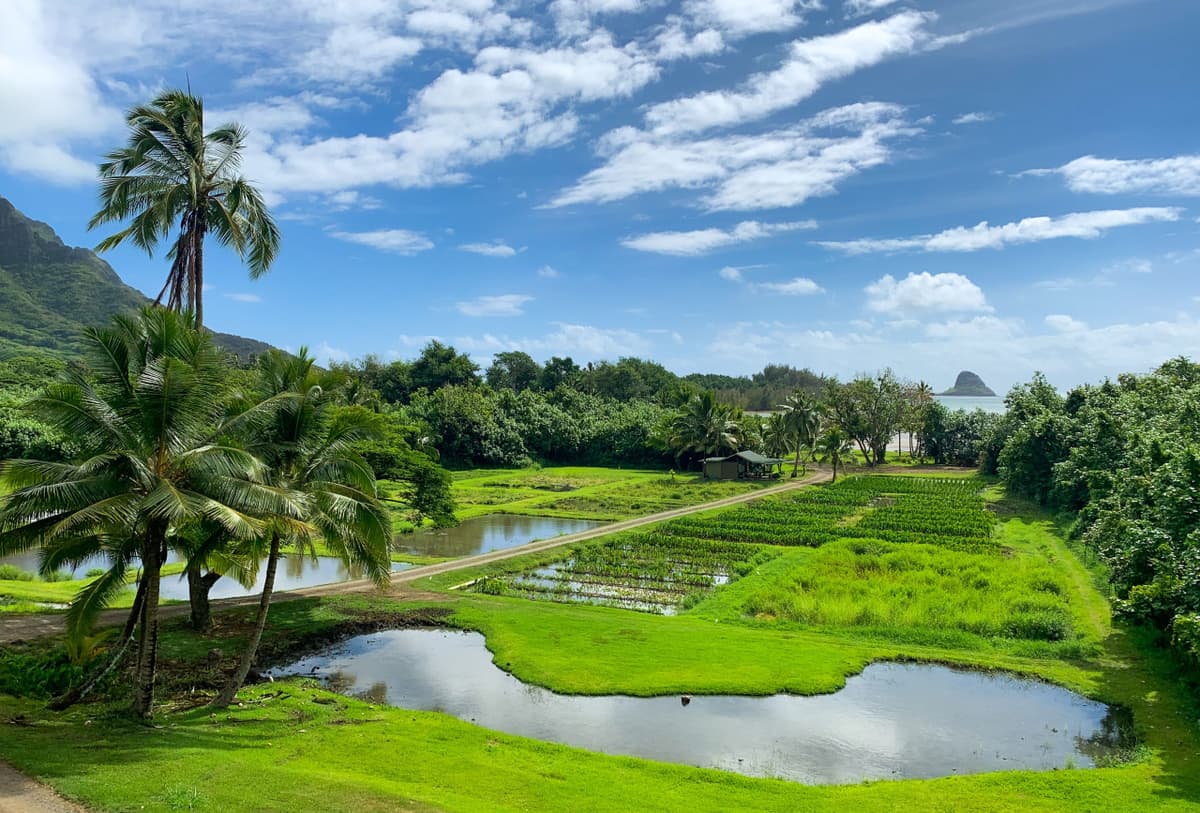 Go City Oahu Explorer Pass: Save up to 50% on Attractions