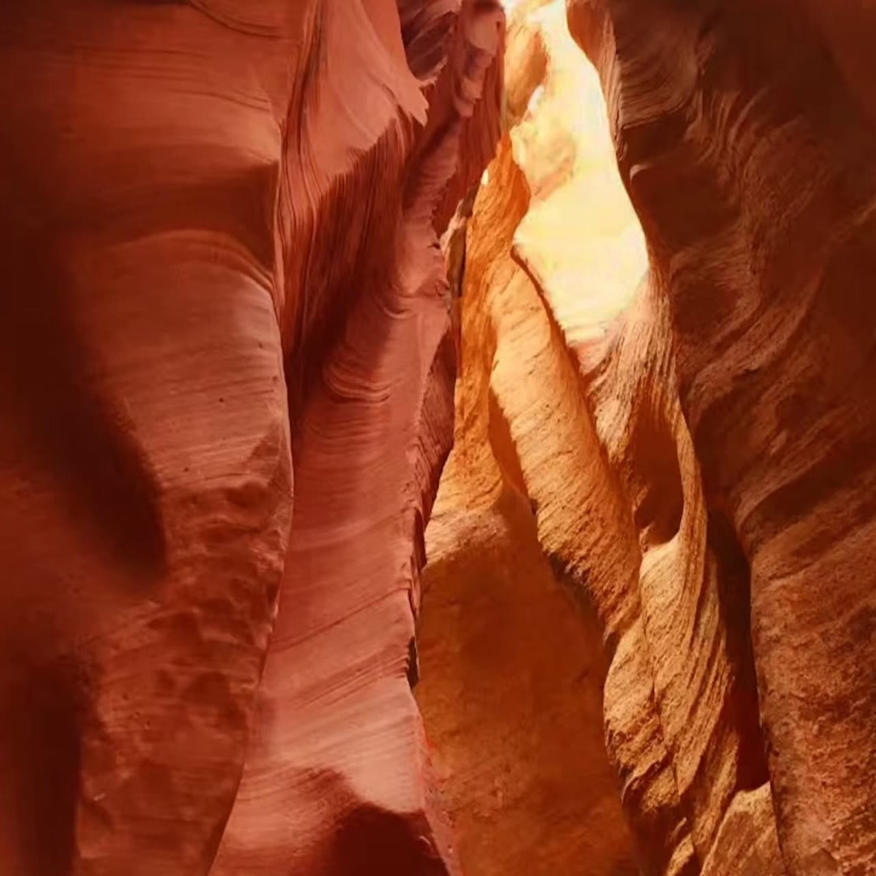 Antelope Canyon X and Horseshoe Bend Tour from Las Vegas – photo 5