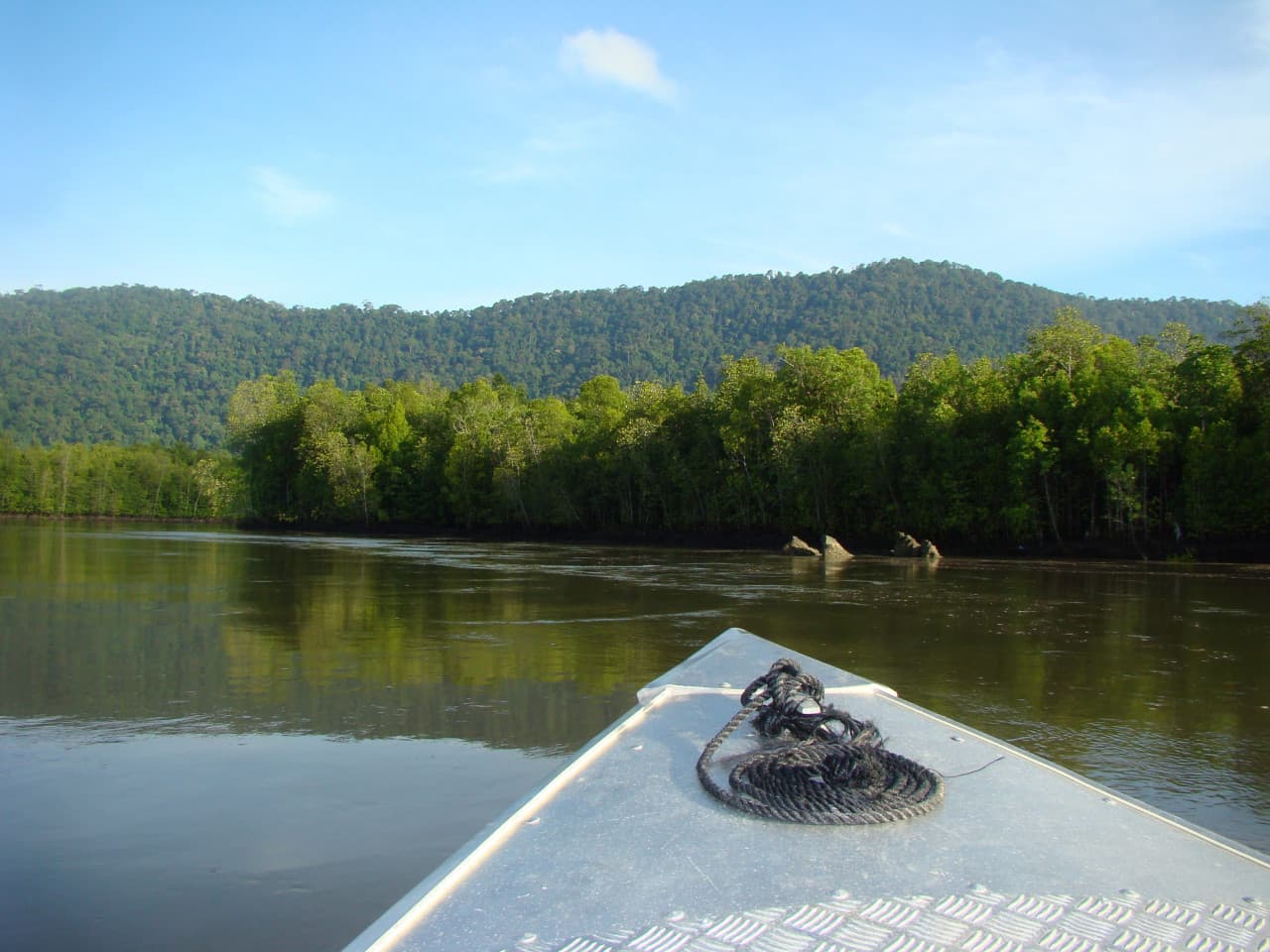 Langkawi Mangrove Cruise and Snorkeling