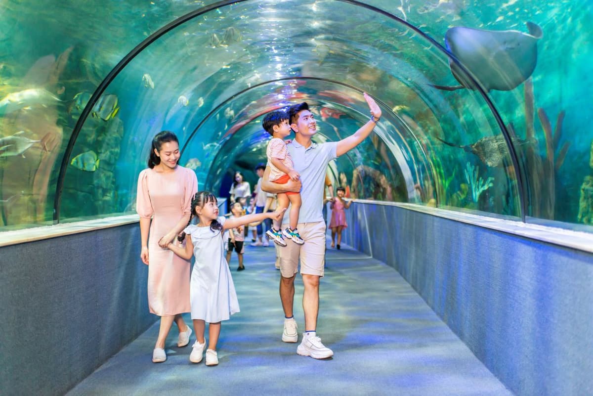 Vinpearl Aquarium Times City Hanoi Ticket
