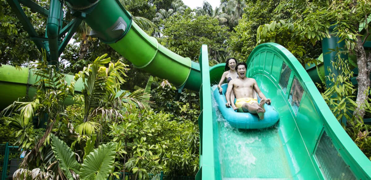 Adventure Cove Waterpark Ticket