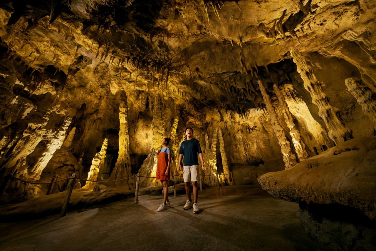 5-in-1 Day Pass: Night Safari + Singapore Zoo + Bird Paradise + River Wonders + Rainforest Asia – photo 15