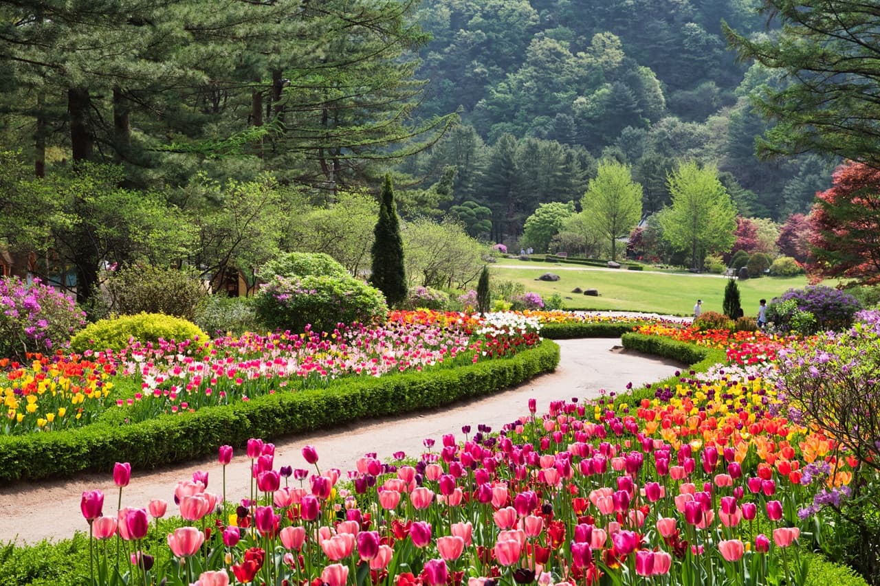Nami Island, Mount Seorak, and Garden of Morning Calm Full-Day Tour from Seoul – photo 30