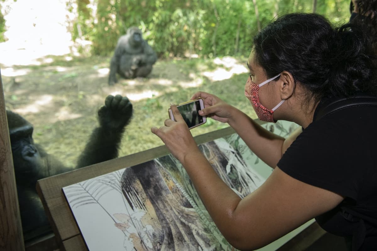 Bronx Zoo