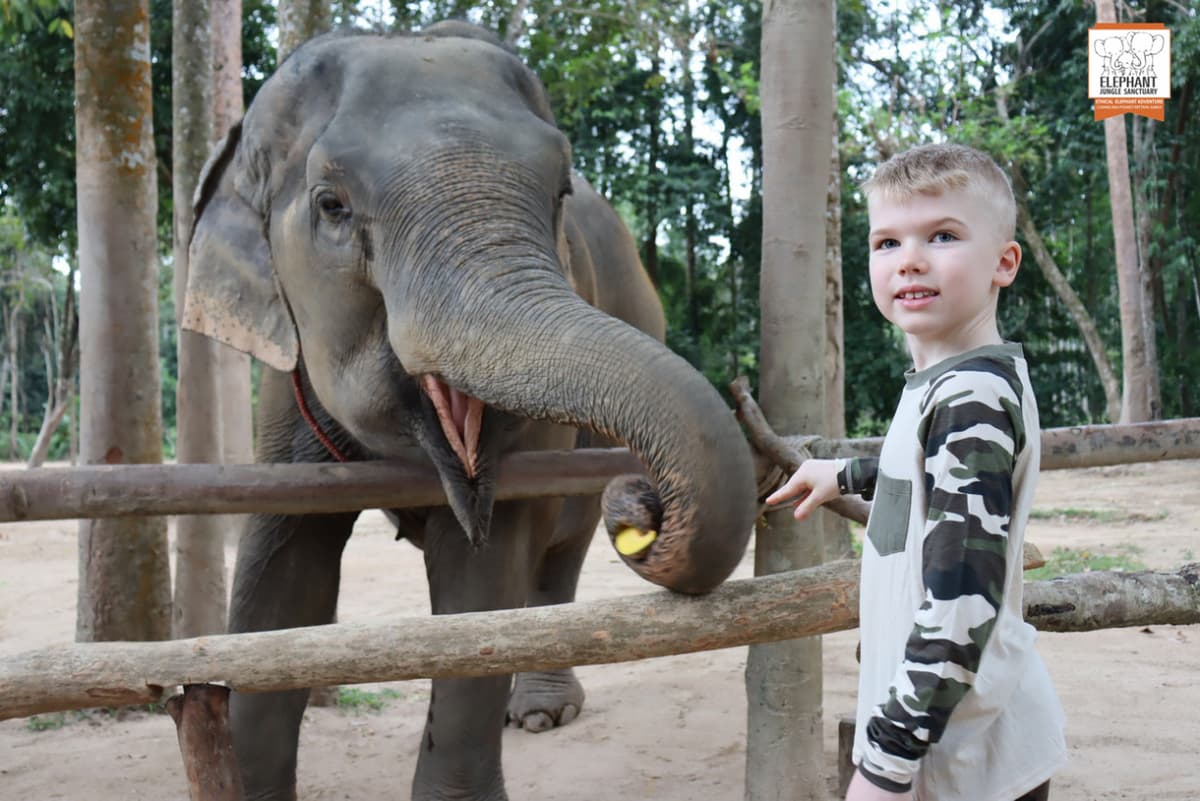 Elephant Jungle Sanctuary Koh Samui