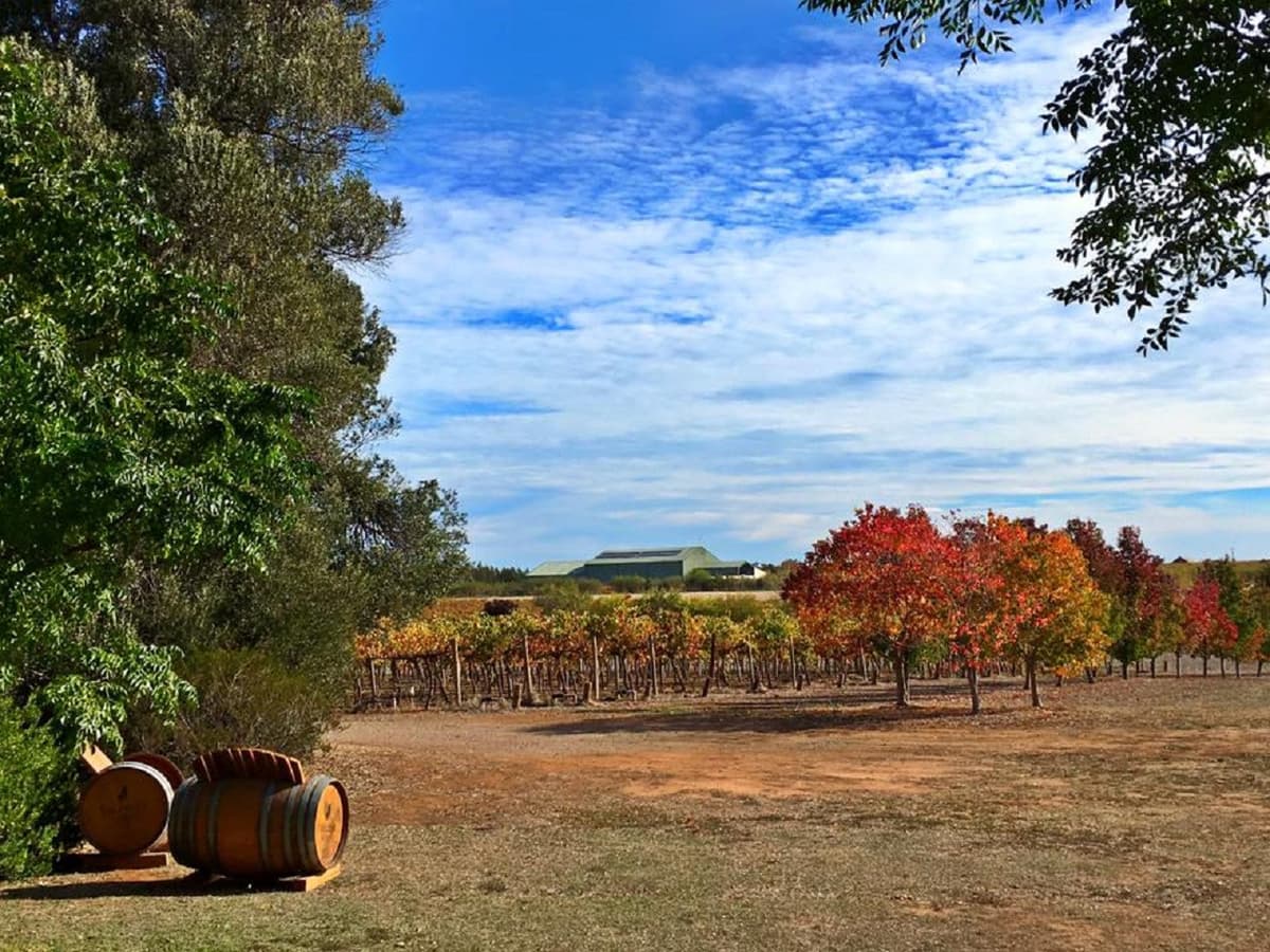 McLaren Vale Winery Tour - Small Group