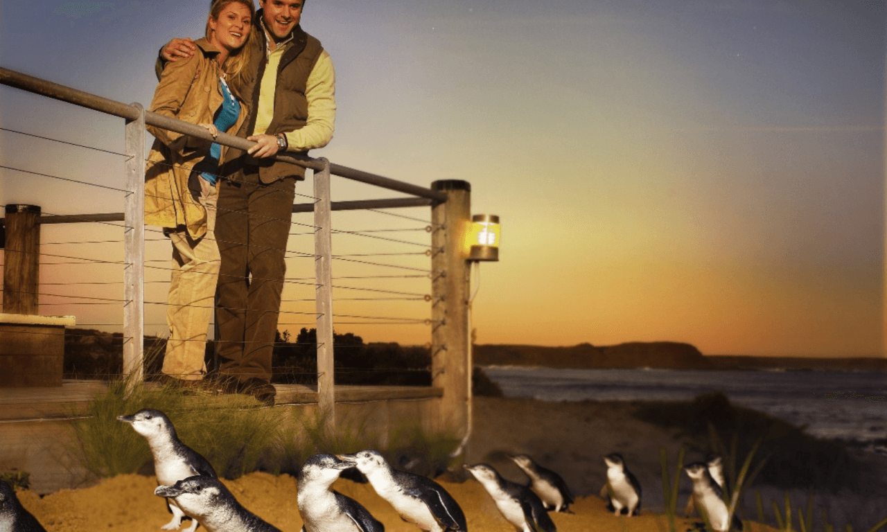 Penguins Express Tour from Melbourne – photo 14
