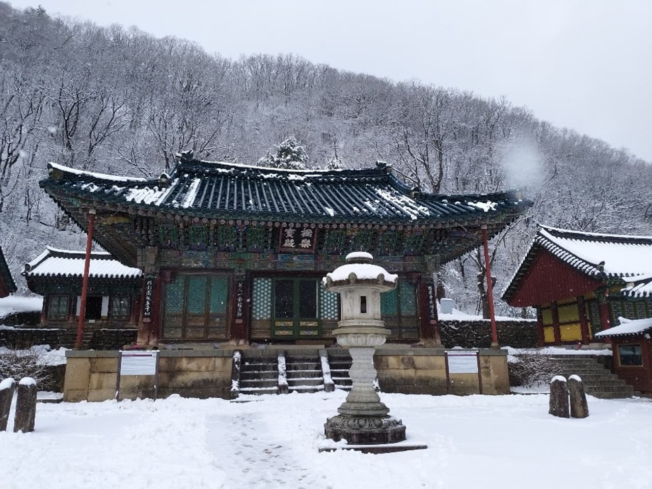 Nami Island and Mount Seorak Full-Day Tour from Seoul – photo 8